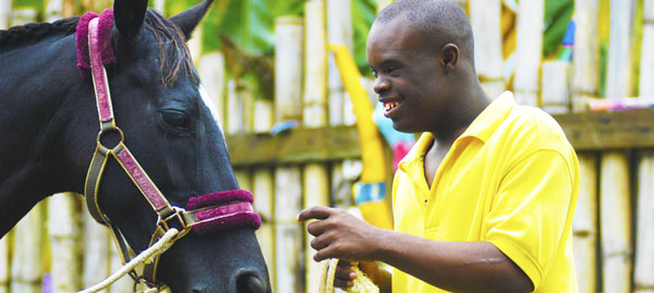 Healing with Horses